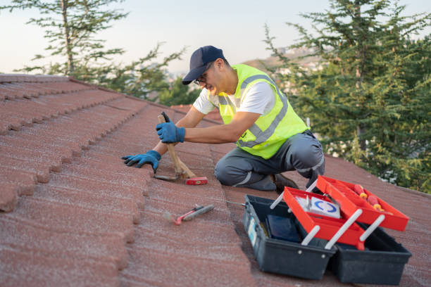 Best Metal Roofing Contractor  in Beale Af, CA